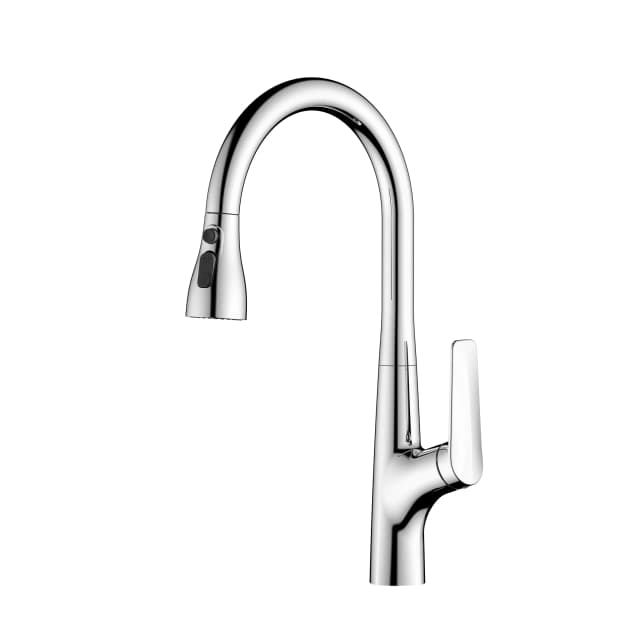 Kitchen Faucet