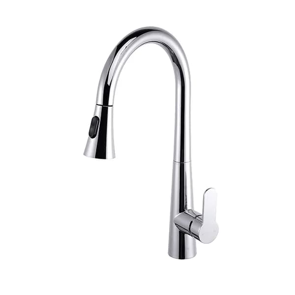 Kitchen Faucet