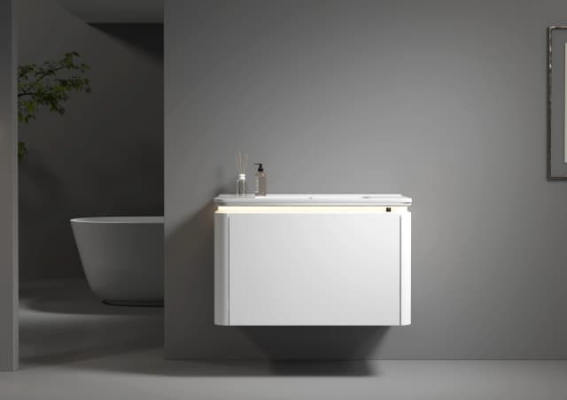 Vanity Cabinet 24" Matte White